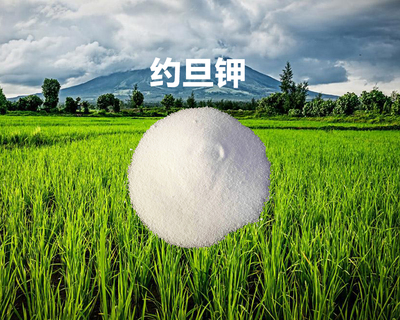 约旦进口氯化钾